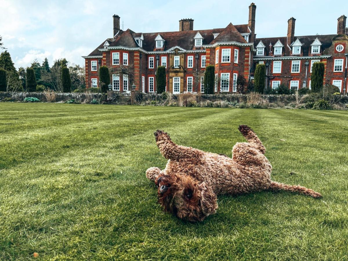 Barnett Hill Hotel Guildford Exterior photo